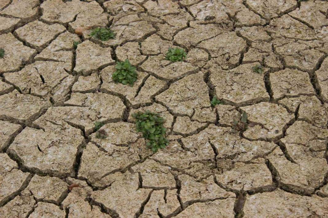 Kuruyan barajın altından çıkanlar şaşırttı! İklim krizinin sonuçları çok ağır olacak 2